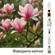 Набір "Фаворити квітня" 6х3 мл id_12416 фото 1