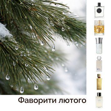 Набір "Фаворити лютого" 6х5 мл id_11866 фото