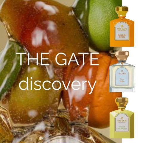 Набір "The Gate Discovery"